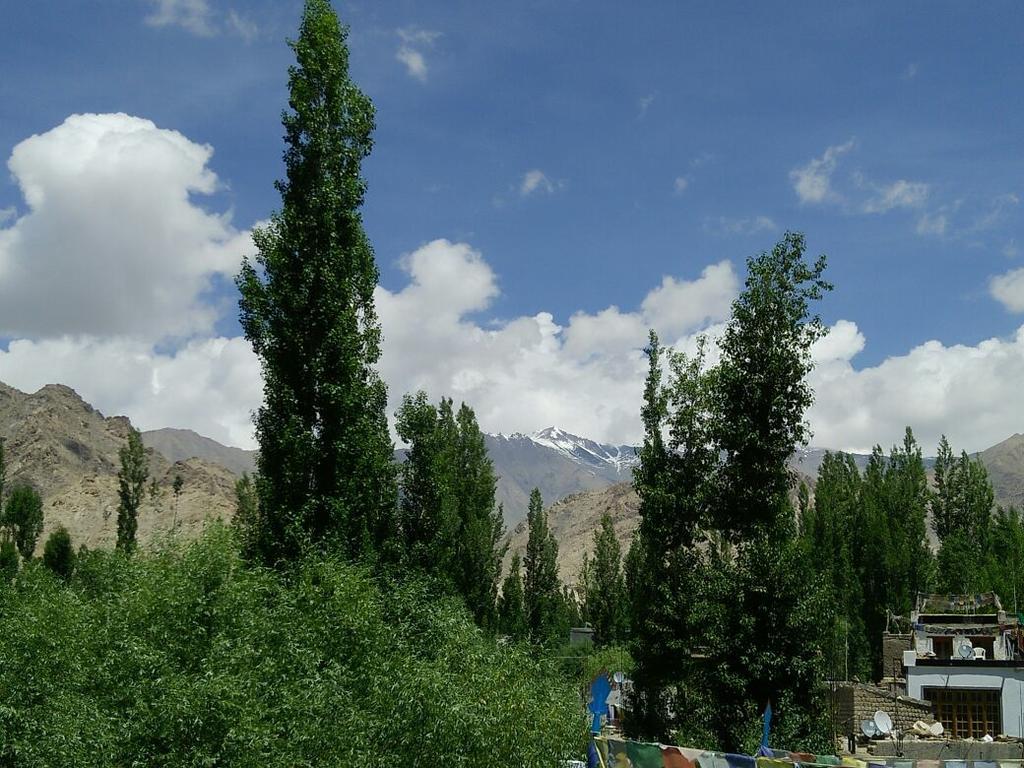 Youthok Guest House Leh Exterior photo