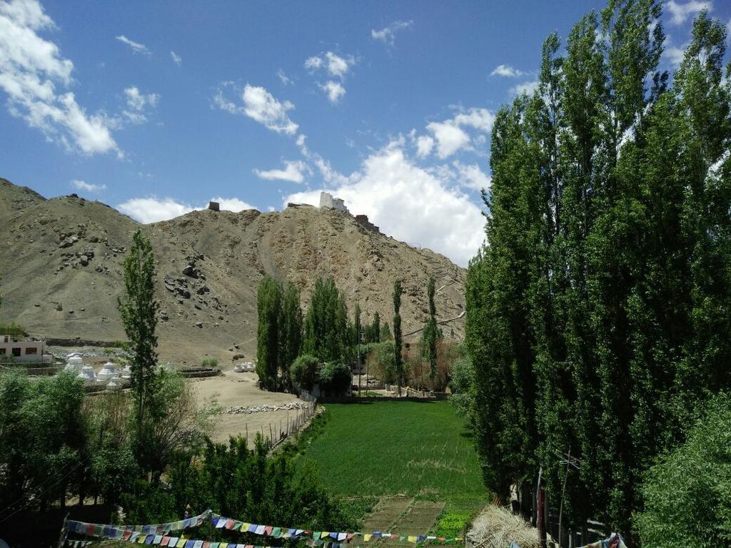 Youthok Guest House Leh Exterior photo
