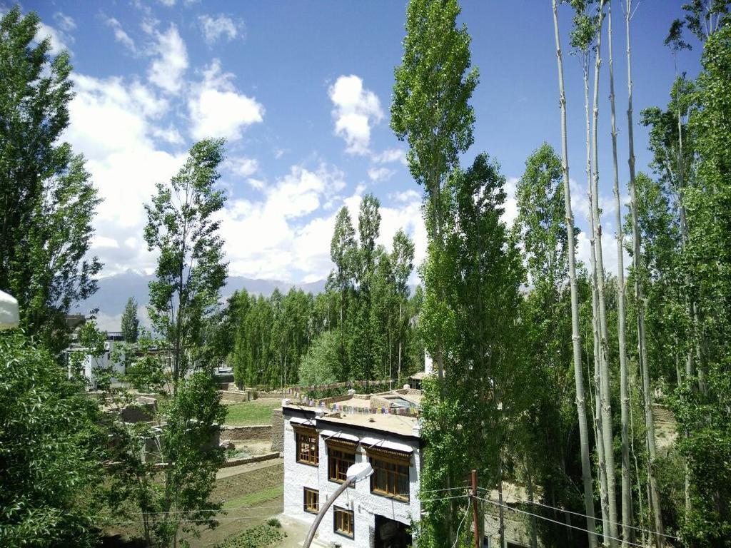 Youthok Guest House Leh Exterior photo